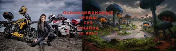 крисы Покровск